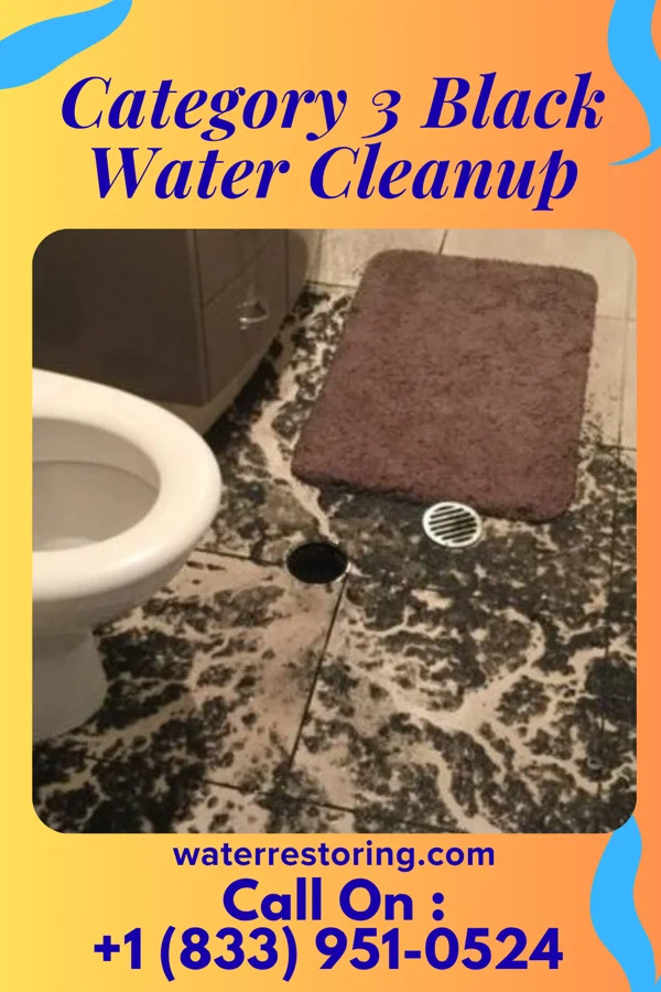 Category 3 Black Water Cleanup in Stockton University, NJ