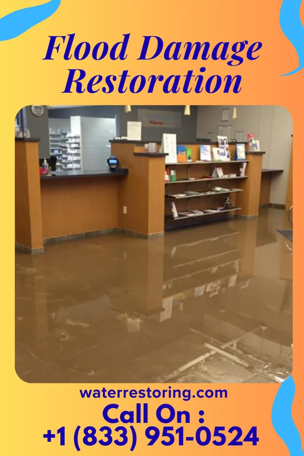 Flood Damage Restoration in Stockton University, NJ