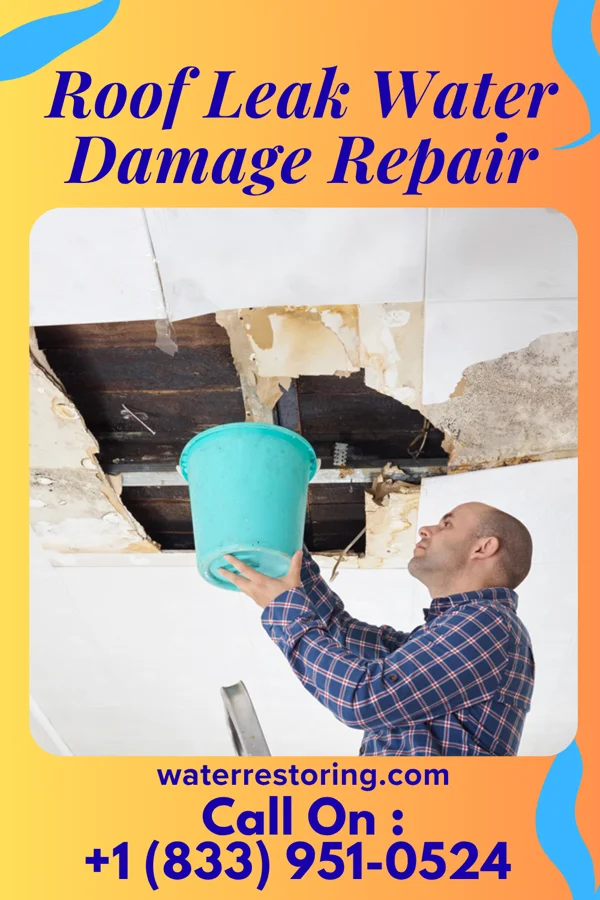 Roof Leak Water Damage Repair in Stockton University, NJ