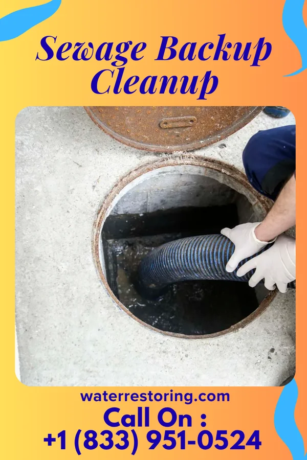 Sewage Backup Cleanup in Stockton University, NJ