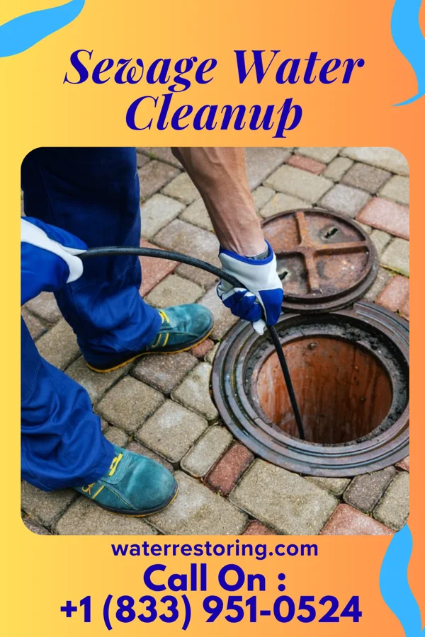 Sewage Water Cleanup in Stockton University, NJ