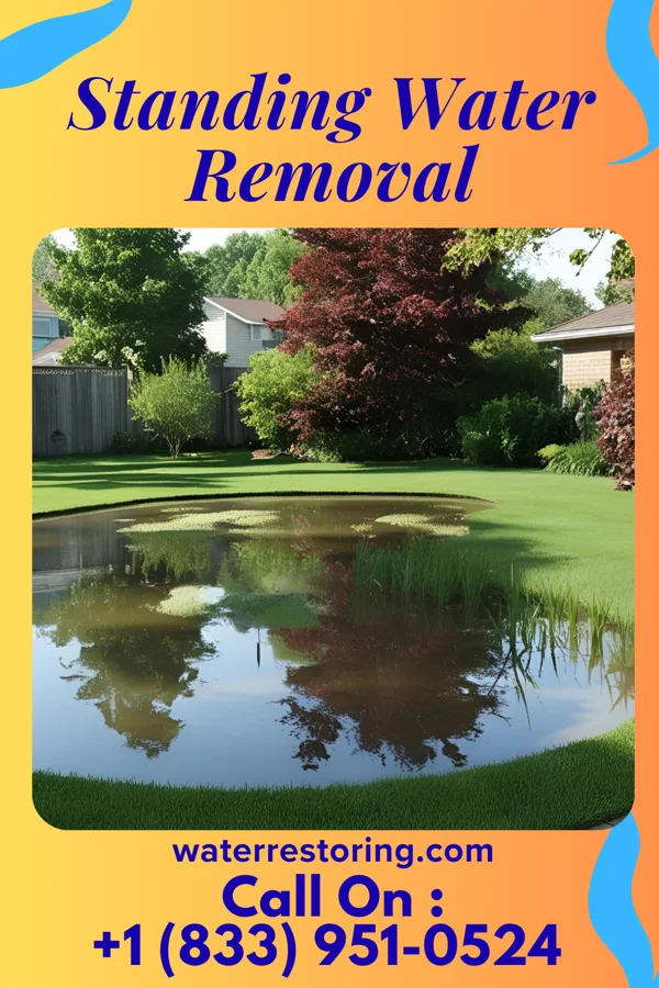 Standing Water Removal in Stockton University, NJ